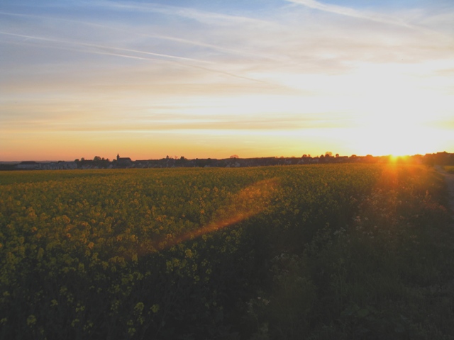 Soir de campagne francilienne