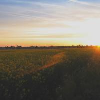 Soir de campagne francilienne