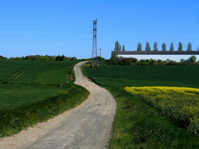 Destination tortueuse